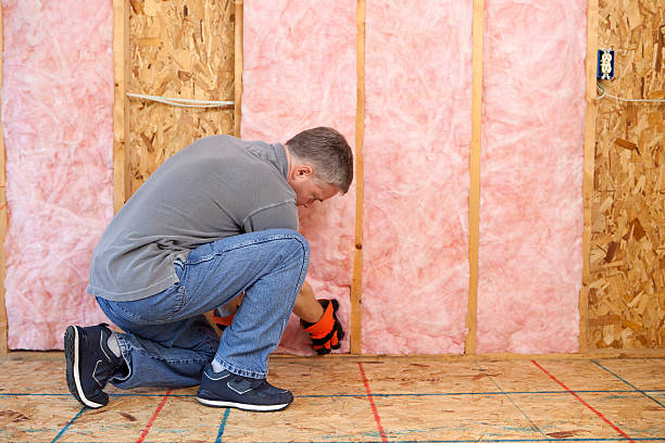 Best Residential Insulation in Utica, MI